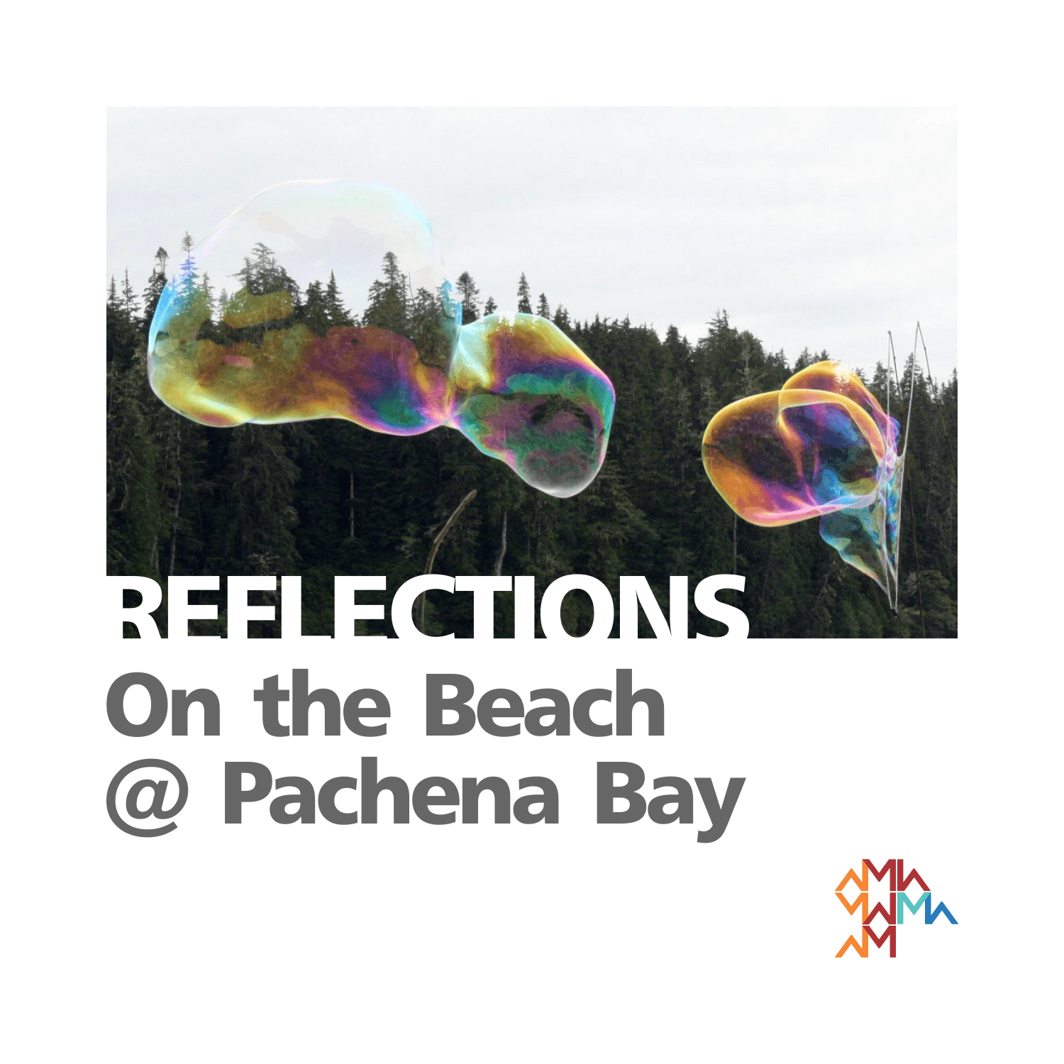 Reflections: Beach Set at Pachena Bay Music Festival